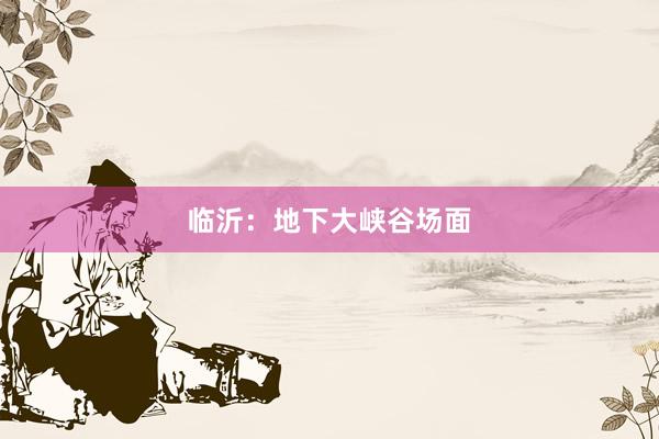 临沂：地下大峡谷场面
