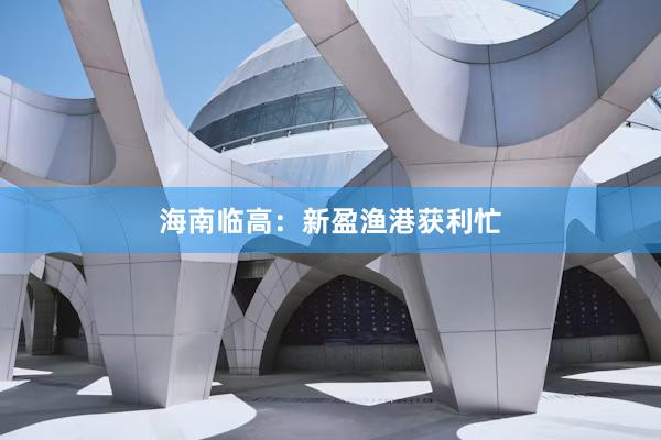 海南临高：新盈渔港获利忙