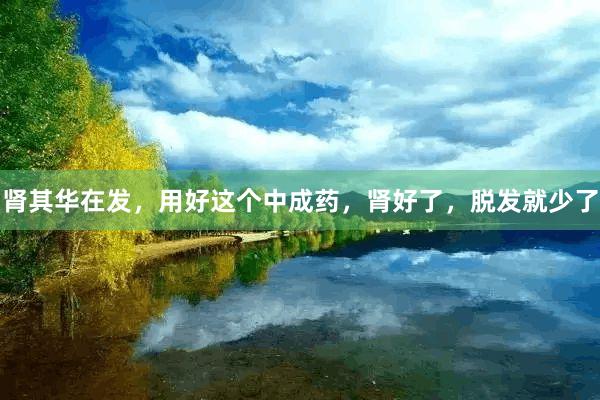 肾其华在发，用好这个中成药，肾好了，脱发就少了
