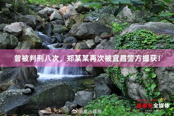 曾被判刑八次，郑某某再次被宜昌警方握获！