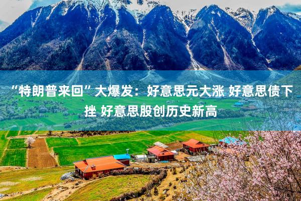 “特朗普来回”大爆发：好意思元大涨 好意思债下挫 好意思股创历史新高