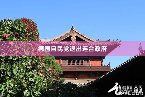 德国自民党退出连合政府