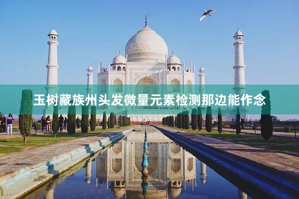 玉树藏族州头发微量元素检测那边能作念