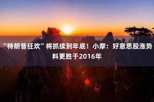 “特朗普狂欢”将抓续到年底！小摩：好意思股涨势料更胜于2016年