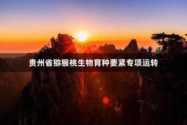 贵州省猕猴桃生物育种要紧专项运转