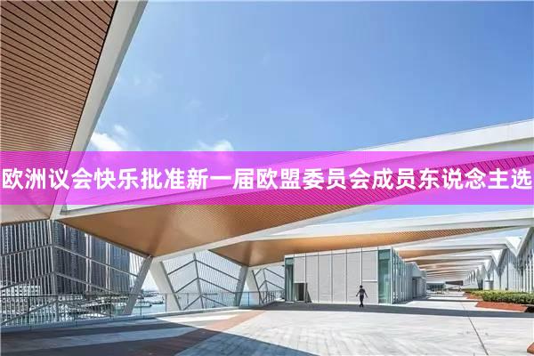 欧洲议会快乐批准新一届欧盟委员会成员东说念主选