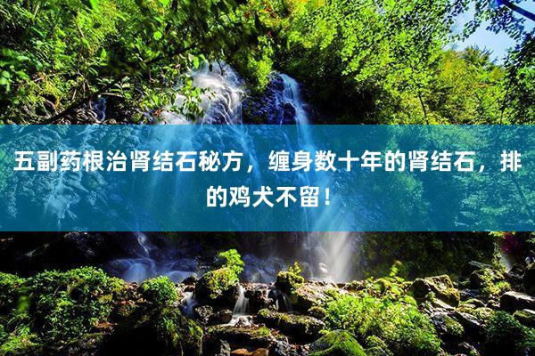 五副药根治肾结石秘方，缠身数十年的肾结石，排的鸡犬不留！
