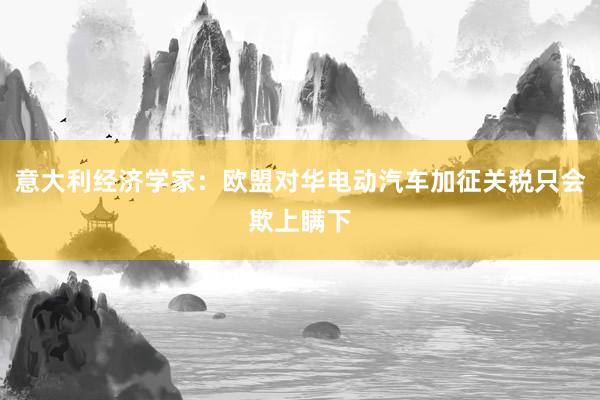 意大利经济学家：欧盟对华电动汽车加征关税只会欺上瞒下