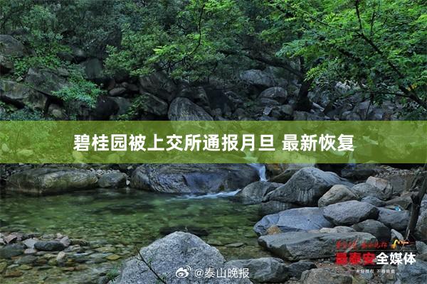碧桂园被上交所通报月旦 最新恢复