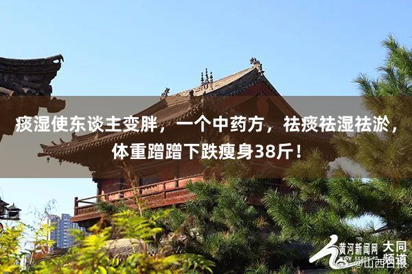 痰湿使东谈主变胖，一个中药方，祛痰祛湿祛淤，体重蹭蹭下跌瘦身38斤！