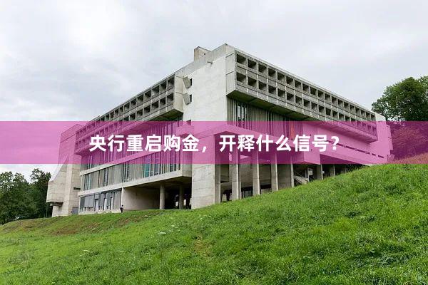 央行重启购金，开释什么信号？
